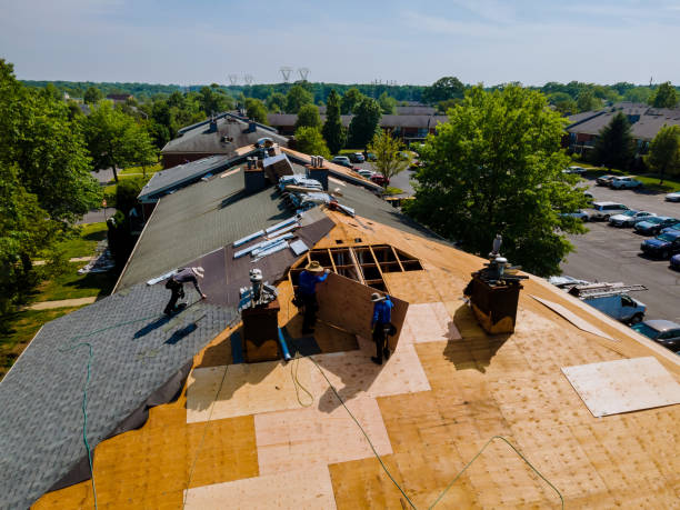 Best Flat Roof Repair Services  in Kirbyville, TX