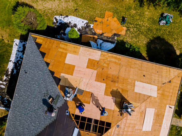 Best Metal Roofing Contractor  in Kirbyville, TX