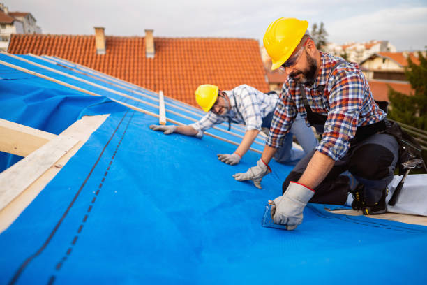Best Storm Damage Roof Repair  in Kirbyville, TX
