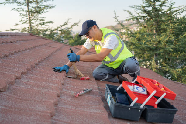 Best Roof Gutter Cleaning  in Kirbyville, TX